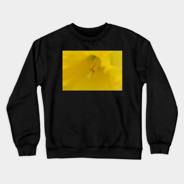 The softness of a daffodil Crewneck Sweatshirt by ToniaDelozier